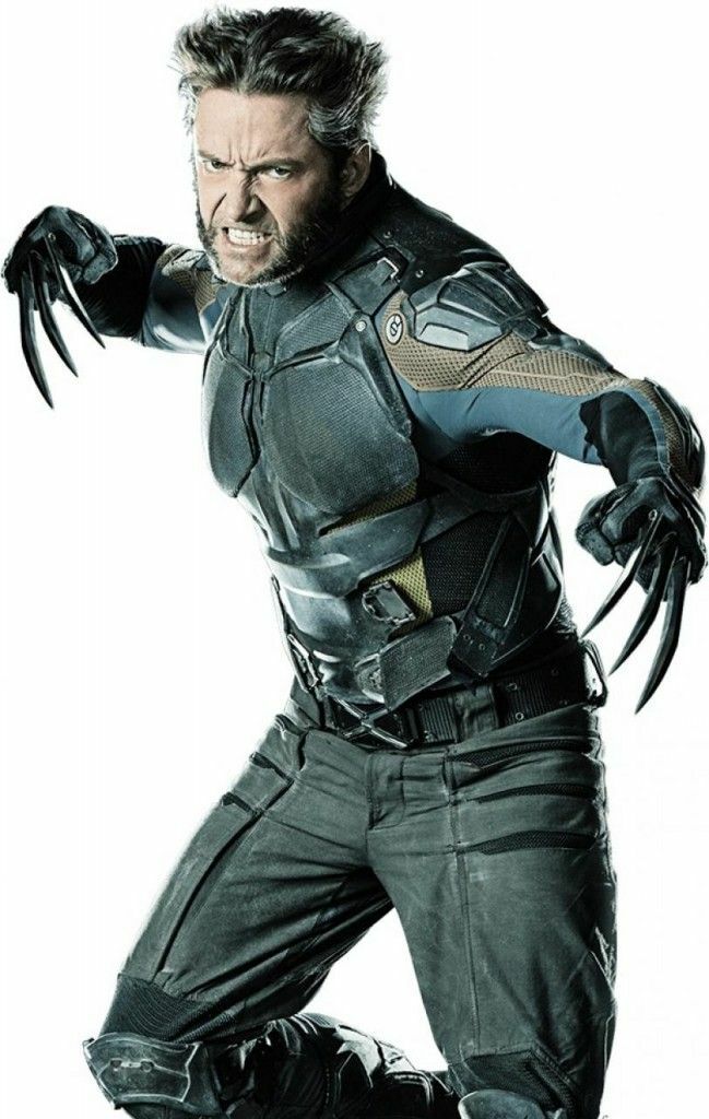 X-Men Days of Future Past - Future Wolverine