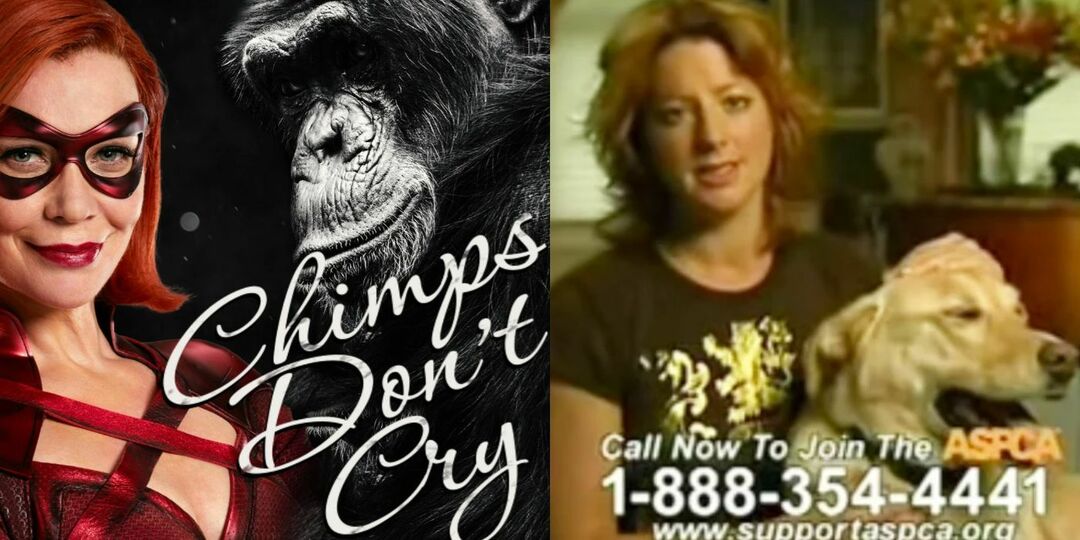 Chimps Don’t Cry paródia dos Olhos de um Anjo da ASPCA.