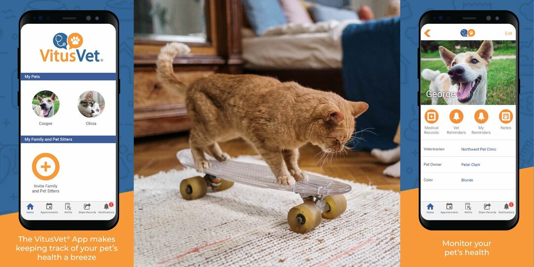 Una foto de un gato naranja parado en una patineta translúcida. A cada lado de la imagen se muestran teléfonos inteligentes que anuncian la aplicación VitusPet.