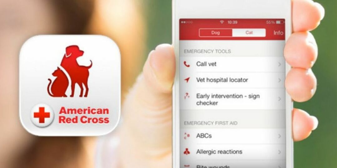 Application de premiers secours pour animaux de compagnie