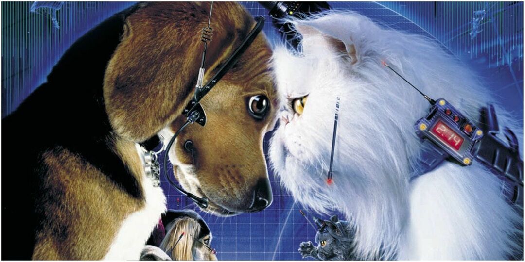 De poster voor Cats & Dogs uit 2001.